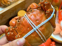 -黄记大闸蟹专卖店·活蟹·醉蟹