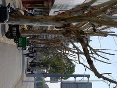 -西安手工软面(浦东南路店)