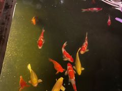 -顺德渔村·岭南一号