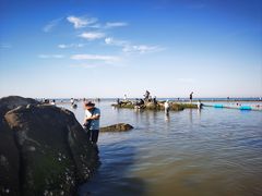 -老虎石海上公园