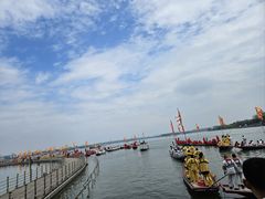 -溱湖国家湿地公园