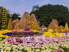 -南山植物园