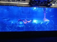 -成都浩海立方海洋公园