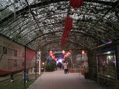 -草根堂农场