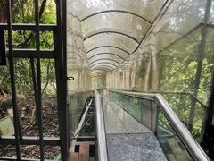 -七仙岭温泉国家森林公园