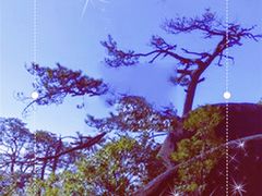 -前王院•巧克力海鲜市集餐厅(万平口店)