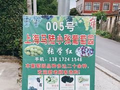 -马陆小张葡萄园农家乐