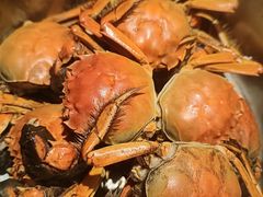 -星伦多自助料理(爱琴海店)