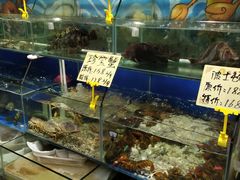 -蚝得喜海鲜(东城店)