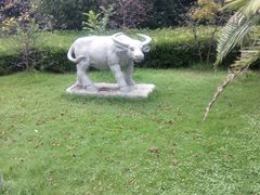 -上海市浦东新区中医医院(川沙总院)