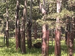 -秦皇岛野生动物园