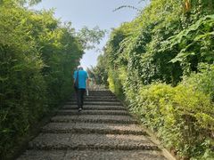 -龙川佗城