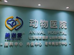 -美迦爱-牙专科·兔科·骨科诊疗中心(北苑店)