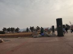 -羊亭河湿地公园