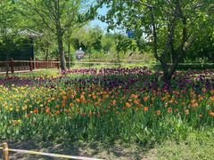 -长春公园(普阳街道)