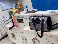 -全心全意连锁动物医院·微创中心·内科急重症·心脏专科(丰管路店)