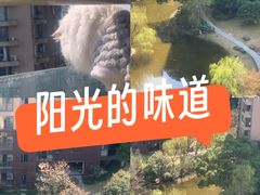 -耀江文鼎苑