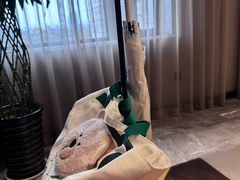 -西安钟楼北大街希尔顿欢朋酒店