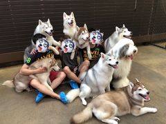 -TrueLove @ Neverland (Husky Cafe)