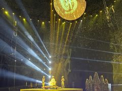 -灵玲国际马戏城