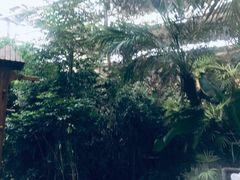 -仁爱团泊湖温泉中心