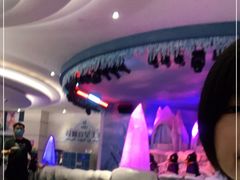 -帝企鹅自助餐厅•儿童岛•真企鹅(长隆企鹅酒店)