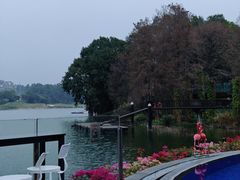 -白云湖畔酒店-湖畔餐厅