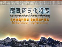 -广东中医药博物馆