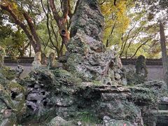 -天一阁博物院