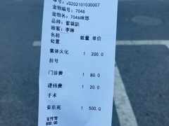 -雨林宠物医院 非犬猫异宠专科