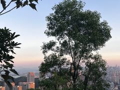 -板樟山森林公园