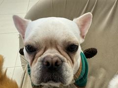 -怪兽屋·羊驼·猫咖·狗咖(俊华广场店)