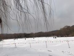 -二一九公园