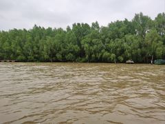 -东寨港红树林旅游区