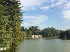 iphone_upload_pic-广州中医药大学第一附属医院(总院)