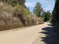 -长虫山生态公园风景林