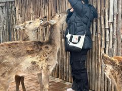 -白鹿原影视城