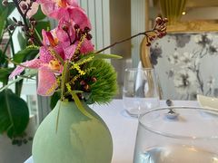 -蝶舍·MAISON PAPILLON