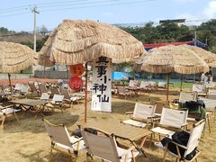 -桃源山庄·水蜜桃采摘·柴火鸡·烧烤团建(龙泉山店)