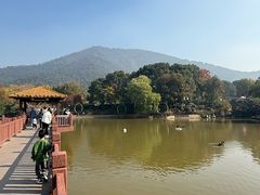 -无锡动物园·太湖欢乐园