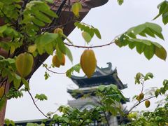 -粤剧艺术博物馆