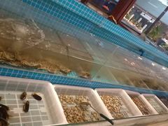 -青岛海悦御华大酒店