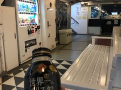 -台场海滨公园船码头