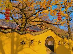 -长兴八都岕景区