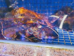 -青蓬蒸汽海鲜·深圳老字号·团建聚会(壹方城店)