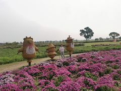 -嘉北郊野公园