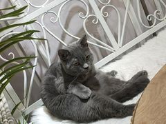-共舞时光猫咖·狗咖(新街口店)