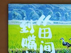 -杨厨的田园饭店(长城路店)