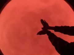 -苏州5D星空错觉艺术馆