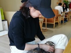 -藏猫猫咖啡主题馆(中央大道店)